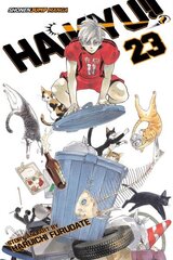 Haikyu!!, Vol. 23: The Ball's Path цена и информация | Фантастика, фэнтези | kaup24.ee