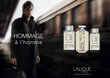 Tualettvesi meestele Lalique Hommage a L´Homme EDT 50 ml hind ja info | Meeste parfüümid | kaup24.ee