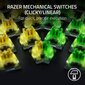 Razer BlackWidow V4 hind ja info | Klaviatuurid | kaup24.ee