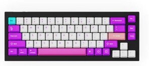 Keychron Keycap Full Set OEM Dye-Sub PBT, Unicorn цена и информация | Клавиатура с игровой мышью 3GO COMBODRILEW2 USB ES | kaup24.ee