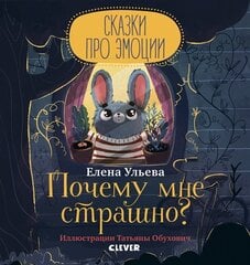 Почему мне страшно? цена и информация | Книги для малышей | kaup24.ee