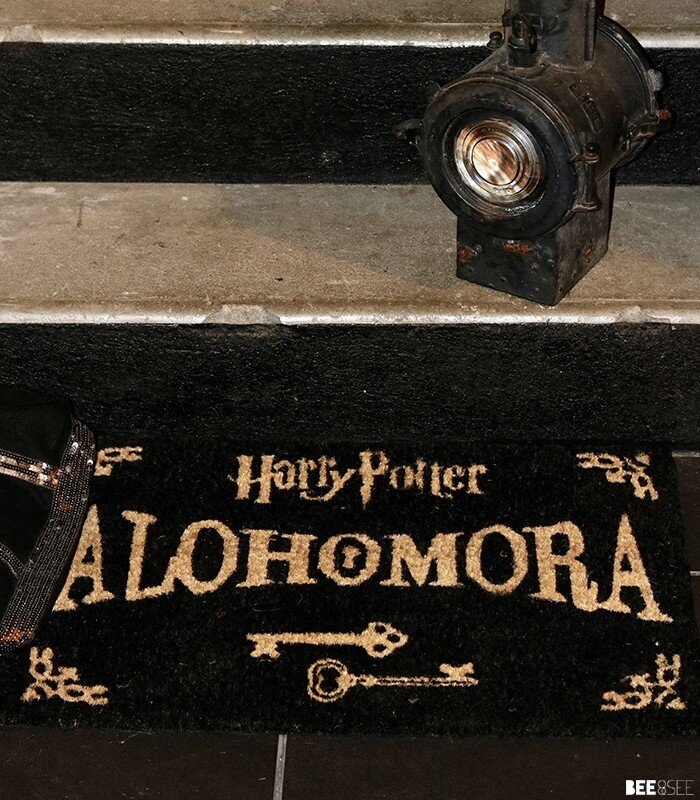 Püramiid uksematt Harry Potter Alohomora, 60 x 40 cm hind ja info | Uksematid | kaup24.ee