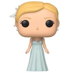 Figuuri Funko Pop Harry Potter Fleur Delacour Yule Ball hind ja info | Fännitooted mänguritele | kaup24.ee