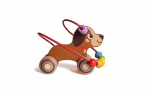 Puidust labürindi koer Iwood hind ja info | Imikute mänguasjad | kaup24.ee