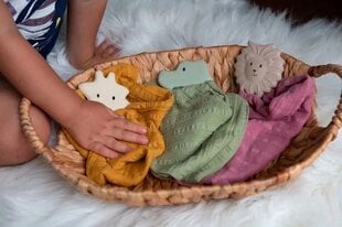 Närimiskumm Doudou Lion Teether hind ja info | Imikute mänguasjad | kaup24.ee
