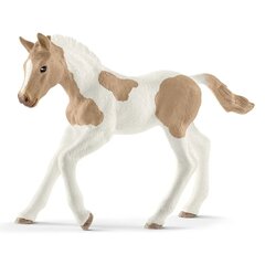 Figurine Schleich Horse Club Hobune цена и информация | Игрушки для девочек | kaup24.ee