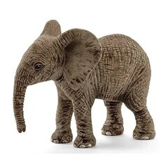 Статуэтка «Молодой африканский слон» Wild Life, красная цена и информация | Развивающий мелкую моторику - кинетический песок KeyCraft NV215 (80 г) детям от 3+ лет, бежевый | kaup24.ee