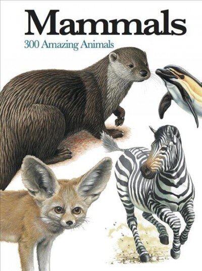 Mammals: 300 Amazing Animals hind ja info | Tervislik eluviis ja toitumine | kaup24.ee