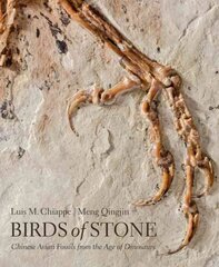 Birds of Stone: Chinese Avian Fossils from the Age of Dinosaurs hind ja info | Tervislik eluviis ja toitumine | kaup24.ee