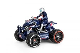 Автомобиль: квадроцикл, радиоуправляемый, амфибия Red Bull цена и информация | Игрушки для мальчиков | kaup24.ee