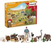 Advendikalender Wild Life Schleich 98272, 24 цена и информация | Arendavad mänguasjad | kaup24.ee