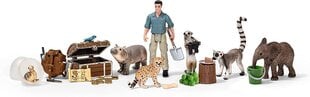 Schleich Advent Calendar 2021 Wild Life 98272 цена и информация | Развивающие игрушки | kaup24.ee