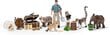 Advendikalender Wild Life Schleich 98272, 24 hind ja info | Arendavad mänguasjad | kaup24.ee