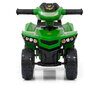 Roller Milly Mally, roheline цена и информация | Imikute mänguasjad | kaup24.ee