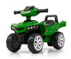 Roller Milly Mally, roheline hind ja info | Imikute mänguasjad | kaup24.ee