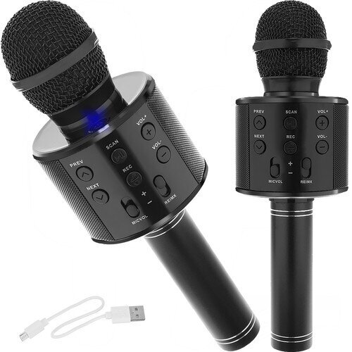 Laste karaoke mikrofon koos kõlariga, must цена и информация | Arendavad mänguasjad | kaup24.ee