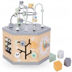 Puidust interaktiivne hariv kuubik 7in1 цена и информация | Развивающие игрушки | kaup24.ee