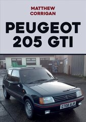 Peugeot 205 GTI hind ja info | Reisiraamatud, reisijuhid | kaup24.ee