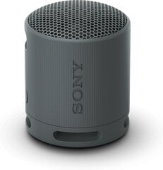 Sony SRSXB100B.CE7 цена и информация | Аудиоколонки | kaup24.ee