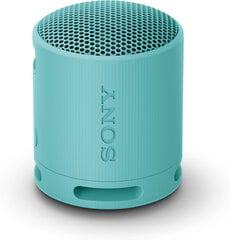 Sony SRS-XB100 Blue цена и информация | Аудио колонки | kaup24.ee