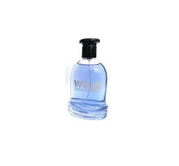 Tualettvesi meestele Street Looks Wild Challenge EDT 100 ml hind ja info | Meeste parfüümid | kaup24.ee