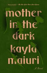 Mother In The Dark: A Novel hind ja info | Fantaasia, müstika | kaup24.ee
