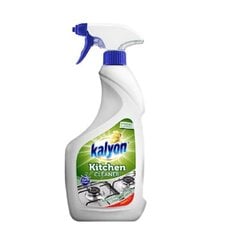 Средство для чистки кухни Kalyon 750мл цена и информация | Скрабы | kaup24.ee
