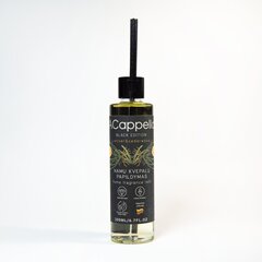 Black Edition kodulõhnastaja, Vetiver & Seedripuu, 200 ml hind ja info | Kodulõhnastajad | kaup24.ee