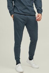 Spordipüksid Jack&Jones hind ja info | Meeste spordiriided | kaup24.ee