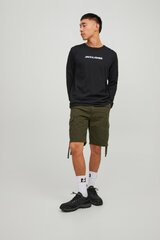 Шорты чинос JACK &amp; JONES 12206889TEA-M цена и информация | Мужские шорты | kaup24.ee