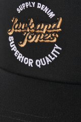 Nokkmütsid Jack&Jones 12236534 hind ja info | Meeste sallid, mütsid ja kindad | kaup24.ee