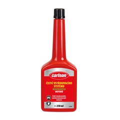 Pihusti puhastusvahend Carlson Petrol, 250 ml цена и информация | Автохимия | kaup24.ee