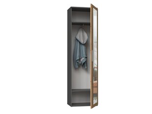 Шкаф DUO, коричневый цвет цена и информация | Шкафы в прихожую | kaup24.ee