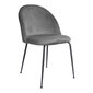 2-tooliga komplekt Geneve, hall цена и информация | Söögilaua toolid, köögitoolid | kaup24.ee