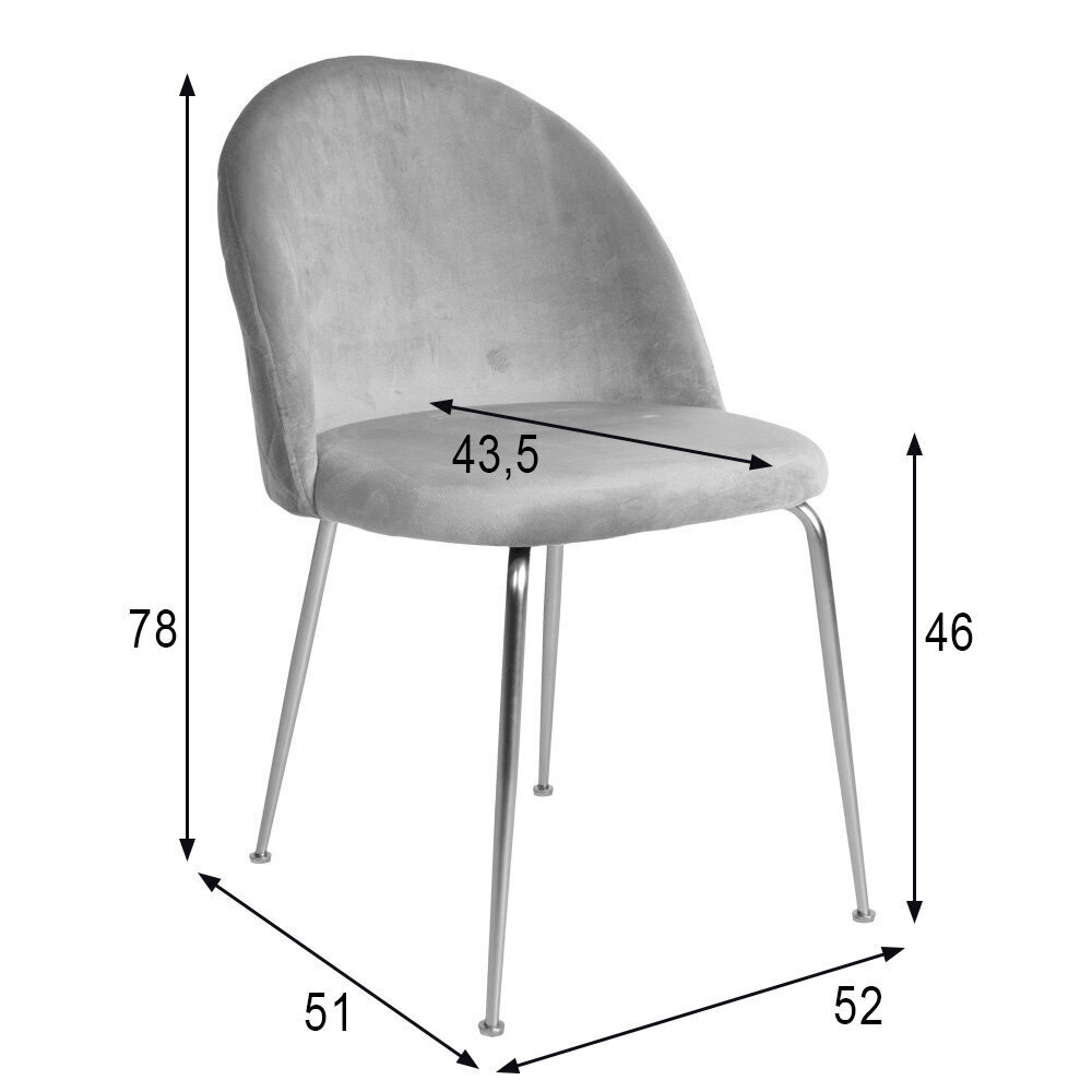 2-tooliga komplekt Geneve, hall hind ja info | Söögitoolid, baaritoolid | kaup24.ee