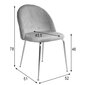 2-tooliga komplekt Geneve, hall цена и информация | Söögilaua toolid, köögitoolid | kaup24.ee