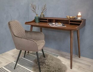 Комплект из 2 стульев Harbo, серый цвет цена и информация | Стулья для кухни и столовой | kaup24.ee