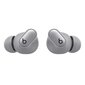 Beats Studio Buds + - True Wireless Noise Cancelling Earbuds - Cosmic Silver - MT2P3ZM/A hind ja info | Kõrvaklapid | kaup24.ee