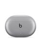 Beats Studio Buds + - True Wireless Noise Cancelling Earbuds - Cosmic Silver - MT2P3ZM/A hind ja info | Kõrvaklapid | kaup24.ee