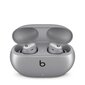 Beats Studio Buds Cosmic Silver MT2P3ZM/A hind ja info | Kõrvaklapid | kaup24.ee