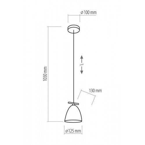 TK Lighting rippvalgusti Aida Black 1 hind ja info | Rippvalgustid | kaup24.ee