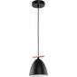 TK Lighting rippvalgusti Aida Black 1 hind ja info | Rippvalgustid | kaup24.ee