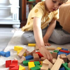 Puidust värvilised klotsid Montessori figuuride kokkupanemiseks Tooky Toy hind ja info | Arendavad mänguasjad | kaup24.ee