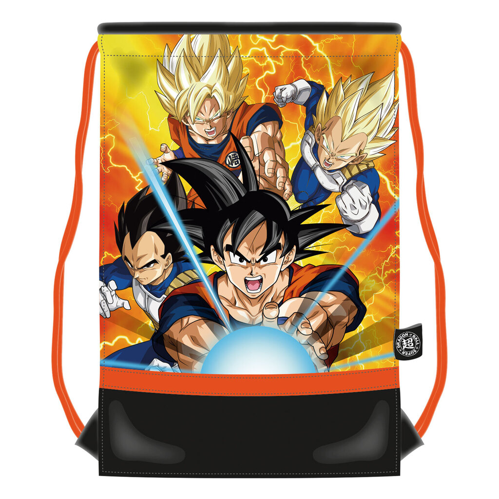 Dragon Balli spordikott hind ja info | Spordikotid, seljakotid | kaup24.ee