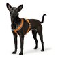 Koera rakmed Hunter London Comfort 63-82 cm Oranž Suurus M/L hind ja info | Kaelarihmad ja traksid koertele | kaup24.ee