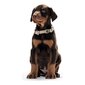 Koera kaelarihm Hunter Alu-Strong Suurus S Tumesinine (30-45 cm) hind ja info | Kaelarihmad ja traksid koertele | kaup24.ee