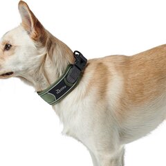 Koera kaelarihm Hunter Divo Roheline (25-35 cm) hind ja info | Kaelarihmad ja traksid koertele | kaup24.ee