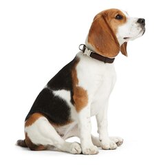 Koera kaelarihm Hunter Basic Alu-Strong Punane Suurus L (45-65 cm) hind ja info | Kaelarihmad ja traksid koertele | kaup24.ee