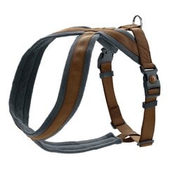 Koera rakmed Hunter London Comfort 73-100 cm Pruun Suurus L цена и информация | Ошейники, подтяжки для собак | kaup24.ee