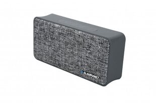 Blaupunkt BT13GY, серый цена и информация | BLAUPUNKT Компьютерная техника | kaup24.ee